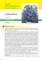 Lobelia erinus II edizione - Scheda di coltivazione