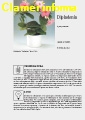 Dipladenia Mandevilla - Scheda di coltivazione 