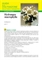 Hydrangea macrophylla (Ortensia) - Scheda di coltivazione