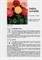 Scheda di coltivazione Dahlia variabilis